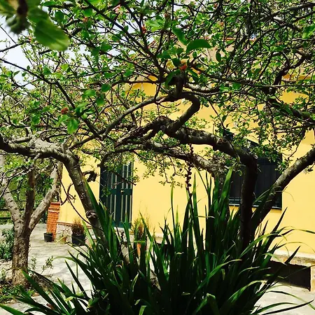 Ferienhaus Etna Yellow *