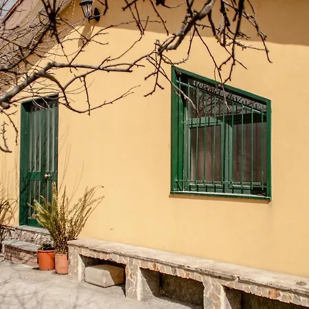 Etna Yellow *